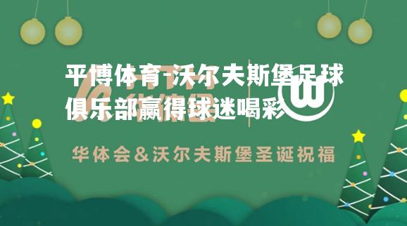 沃尔夫斯堡足球俱乐部赢得球迷喝彩