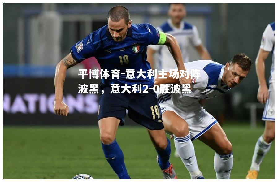 意大利主场对阵波黑，意大利2-0胜波黑